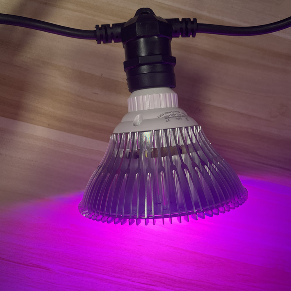 10M Cable LED String Commercia – Outdoor Lighting Effects Bewertung und Preis