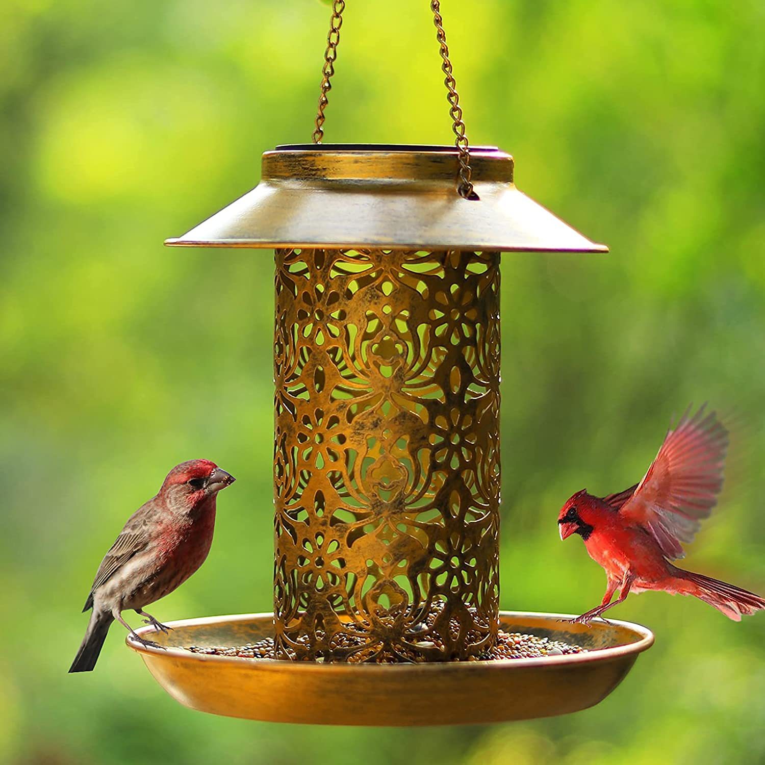 Hanging Bird House Metal Outdo – Outdoor Lighting Ideas For Backyard Bewertung und Preis